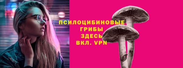 хмурый Абаза