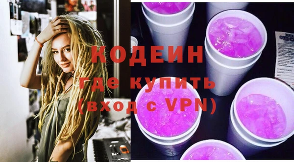 хмурый Абаза