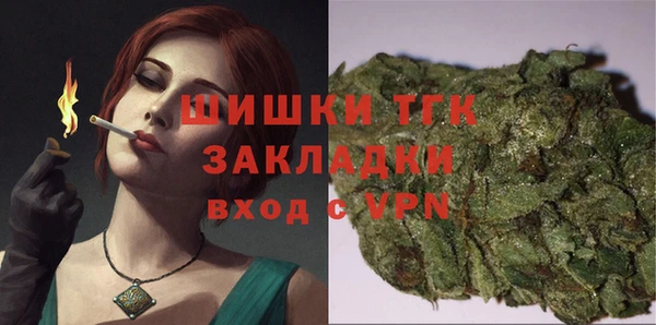 хмурый Абаза