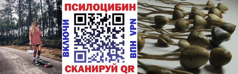 Галлюциногенные грибы мицелий  Лысково 