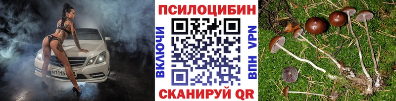 Псилоцибиновые грибы прущие грибы Лысково